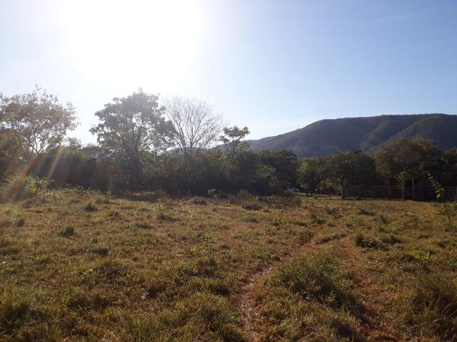 Fazenda 866 Hectares apos 35 km da Agrovila das Palmeiras - Foto 6
