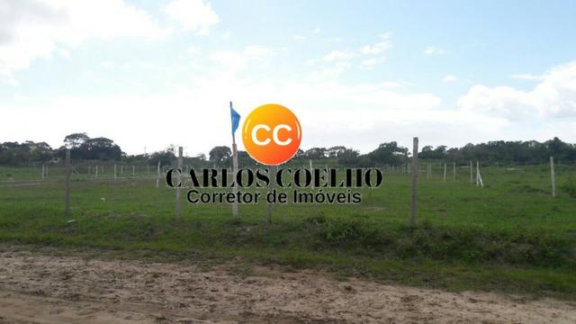 Jô- Cód: 116
