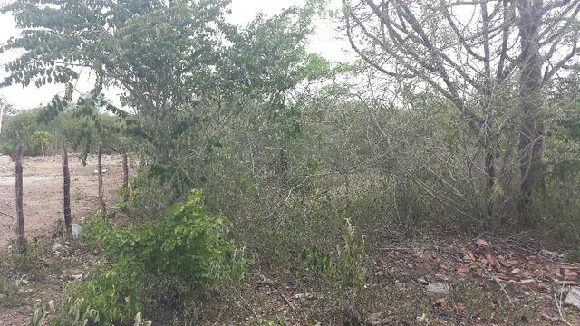 3 Lotes para Cácaras - Oportunidade - Foto 12