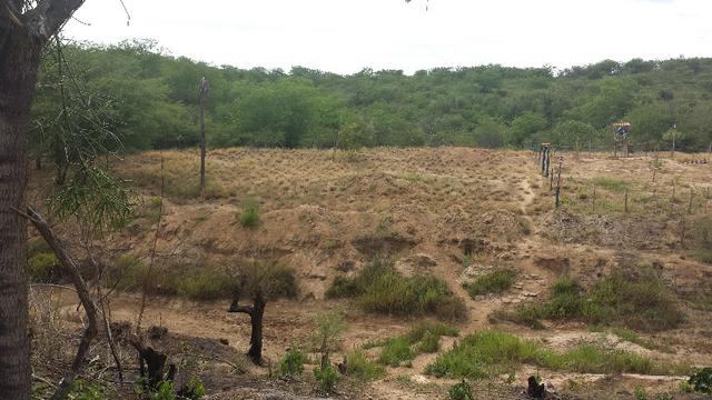 3 Lotes para Cácaras - Oportunidade - Foto 2