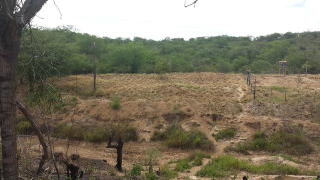 3 Lotes para Cácaras - Oportunidade - Foto 6