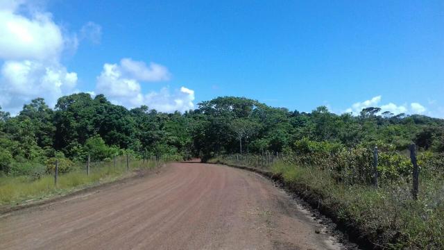 Área rodovia Ilhéus -Itacaré - Foto 7