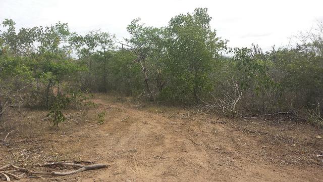 3 Lotes para Cácaras - Oportunidade - Foto 9