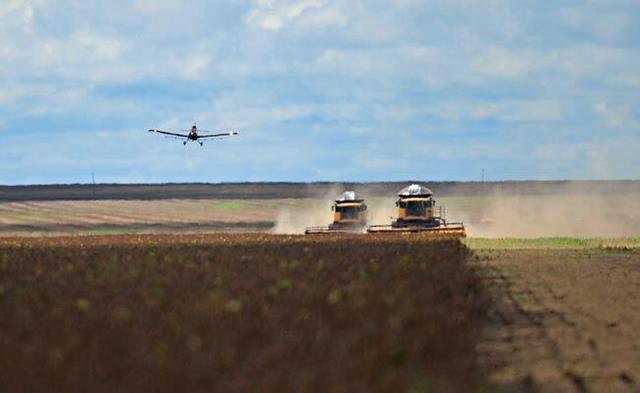 Fazenda Arrendamento PR 675 há de Soja.e.milho