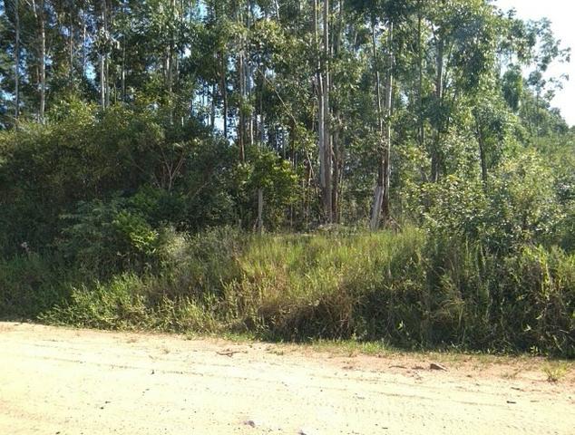Chácara na localidade de Paquete - Capela de Santana - Foto 2