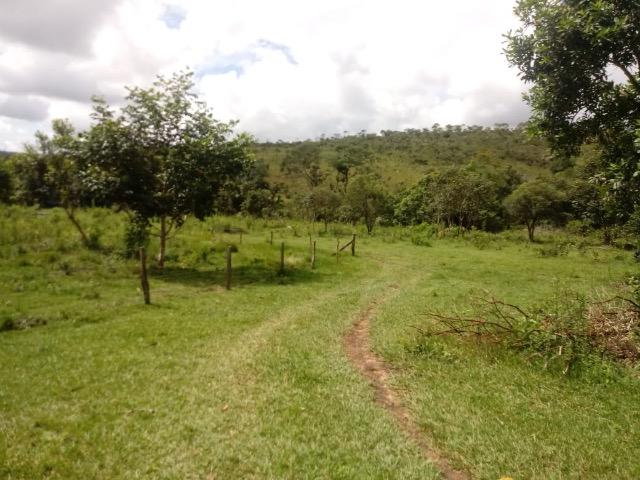 Fazenda 90 alqueires - Foto 6