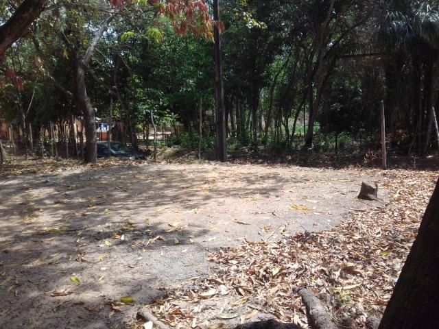 Vendo Sítio no Maracanã. - Foto 3