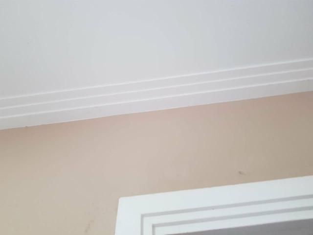 Promoção PR GESSO