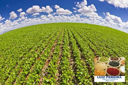 FAZENDA A VENDA DE 363 HECTARES EM ASSIS -SP (Soja e Cana) - Foto 2