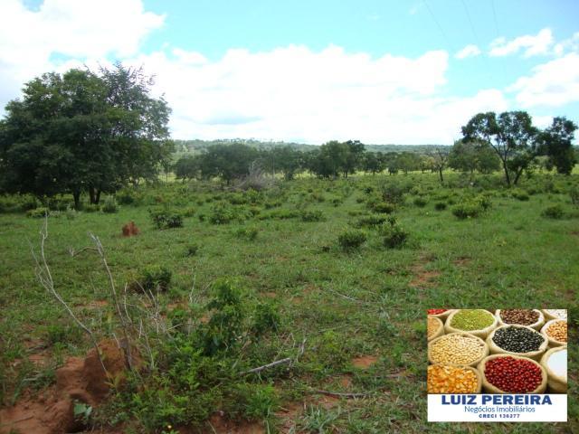 FAZENDA A VENDA de 100 HECTARES EM TERENOS - MS - (Pecuária) - Foto 11