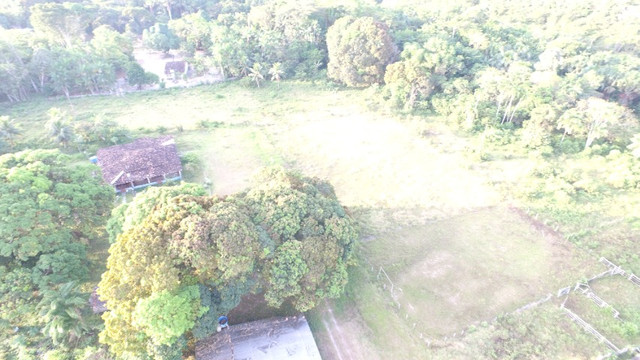 R$350 mil reais 17 hectares em Castanhal -Pa com casa boa de alvenaria - Foto 4