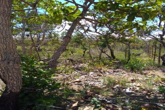 Serra d Cipó!!! Chacara de 1.000m² 100% plano * WhtsApp - Foto 5