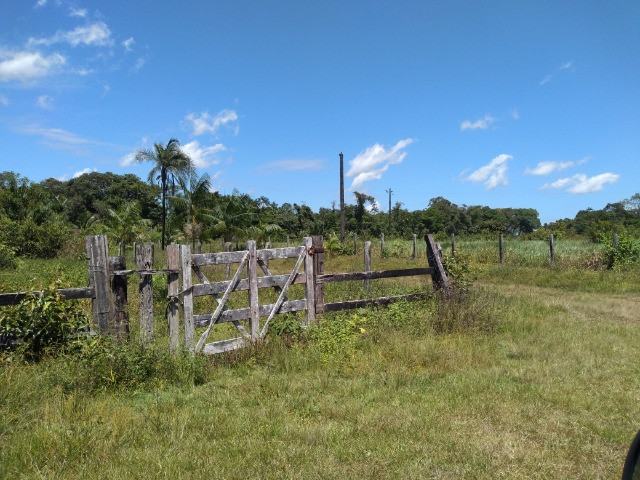R$350 mil reais 17 hectares em Castanhal -Pa com casa boa de alvenaria - Foto 11