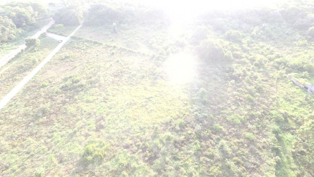 R$350 mil reais 17 hectares em Castanhal -Pa com casa boa de alvenaria - Foto 9