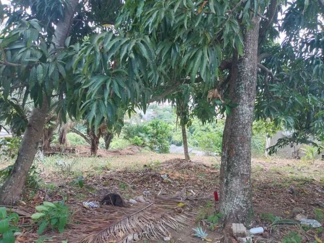 Terreno à venda, 1470 m² por R$ 750.000,00 - São Marcos - Salvador/BA - Foto 4