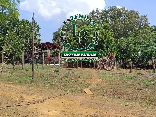 Fazenda 6 Alqueires Próximo a Palmas Tocantins - Foto 5