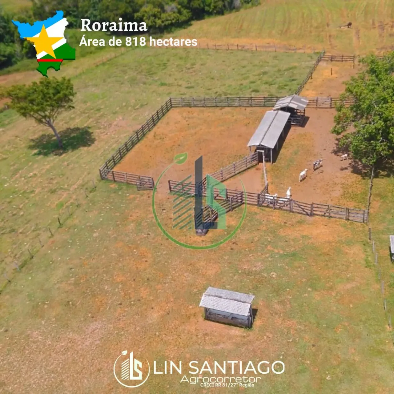 Fazenda Roraima - 818 Hectares