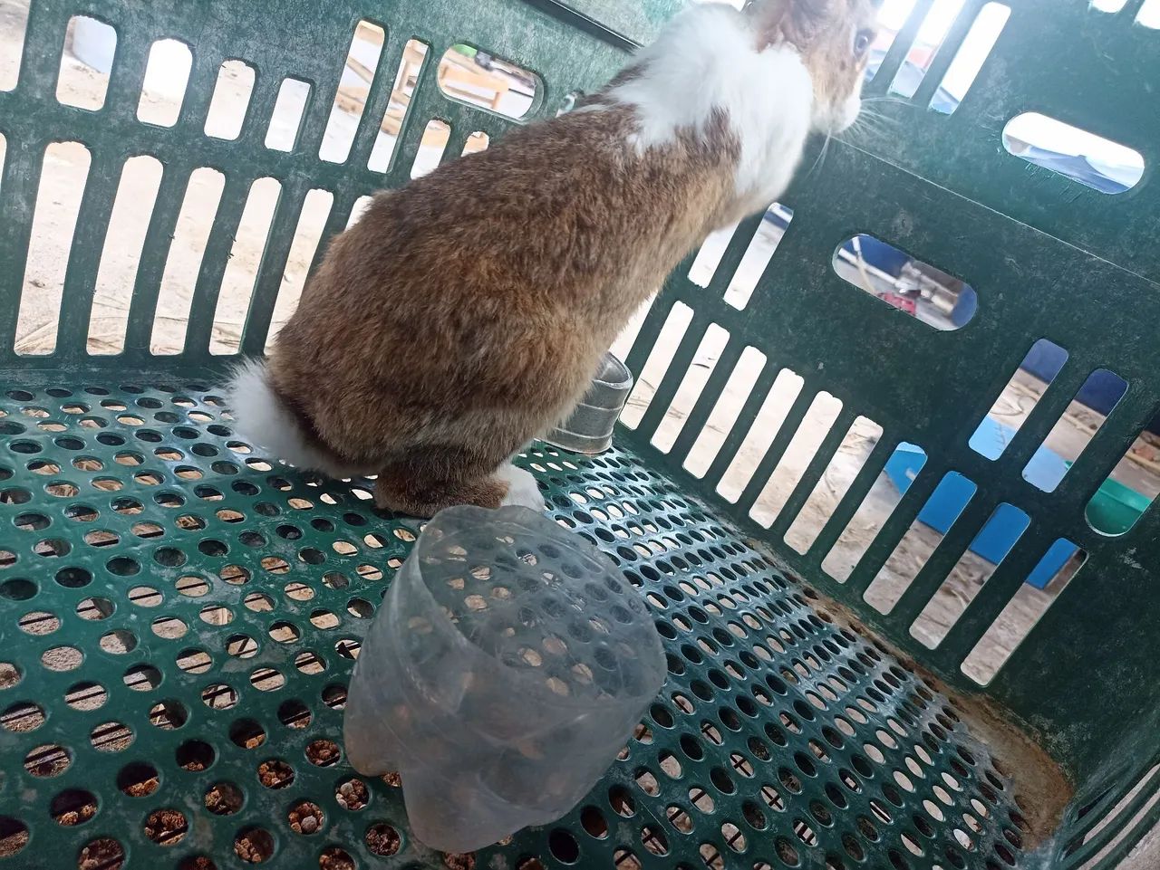 Vendo todos  - Foto 3