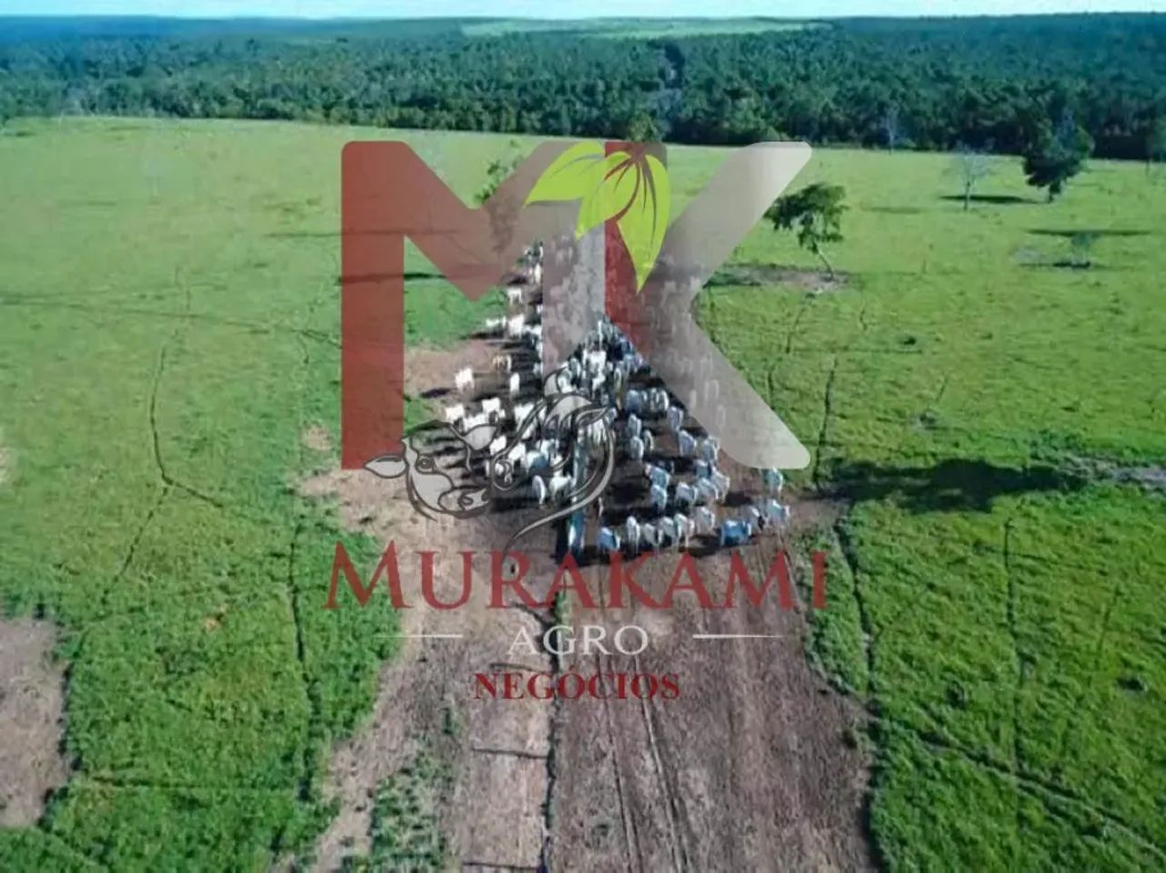 FAZENDA EM PARANATINGA MATO GROSSO - Foto 4