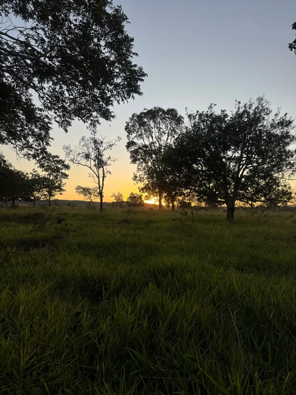 Alugo terreno pra energia solar