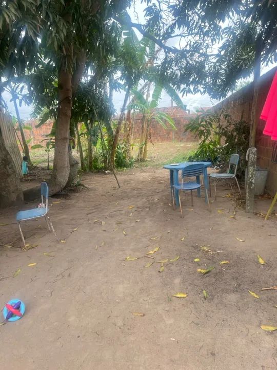 Terreno com árvores frutíferas