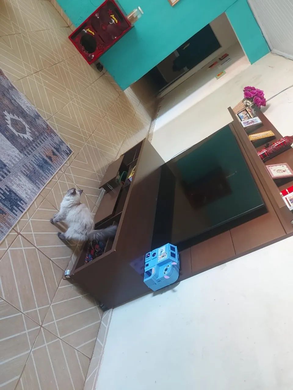 Vendo  casa no sol nascente trecho 1 atras a feira produtor  - Foto 4