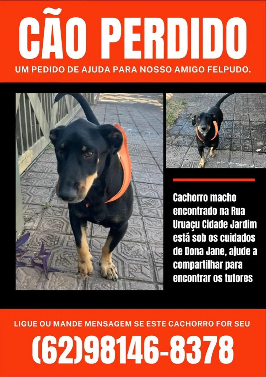 Adoção solidária e responsável