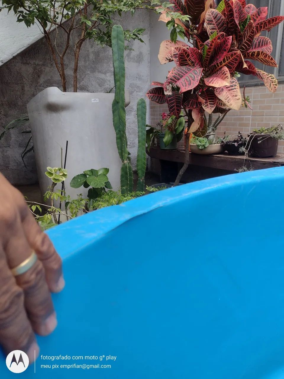 Piscina 1000 litros - Foto 5