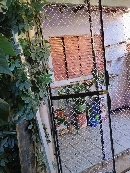 Portão para gatil  - Foto 5