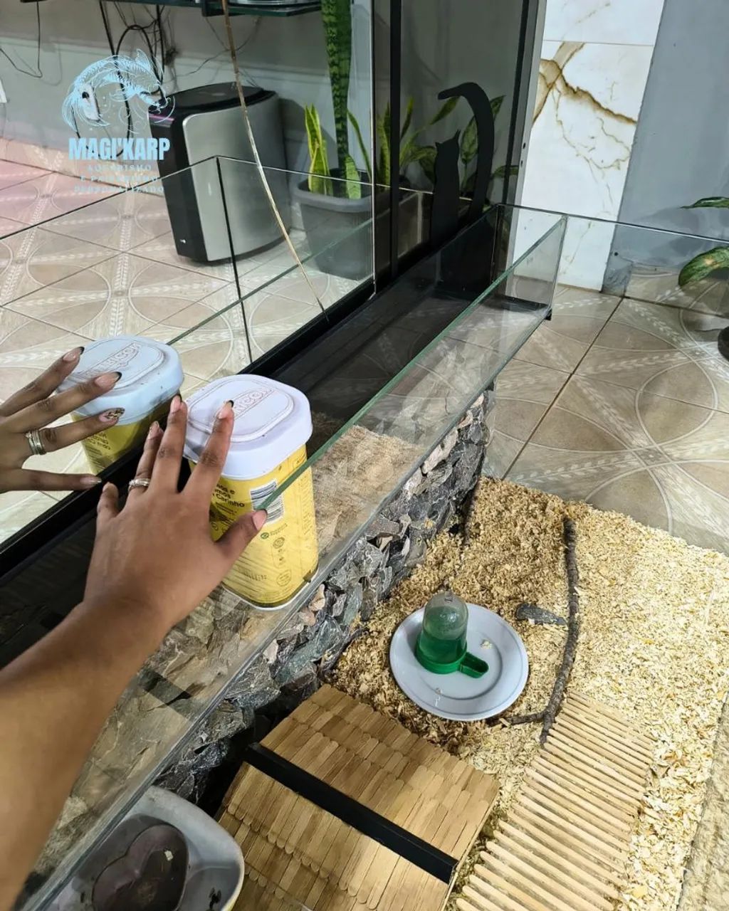 Terrário/Aquário 2 em 1 - Foto 5