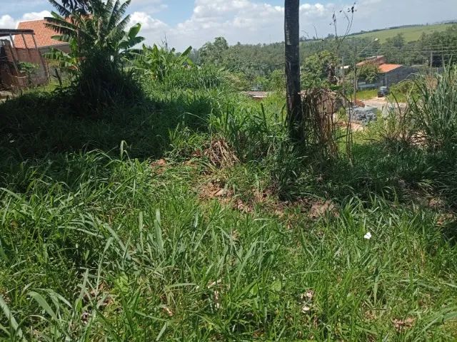 Terreno 250m2 - Foto 11