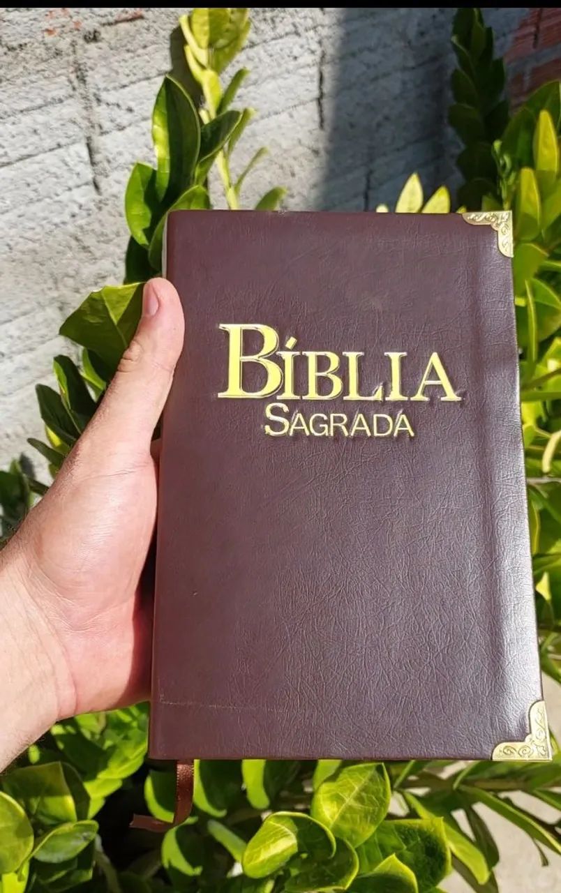 Reforma de Bíblia - Foto 3