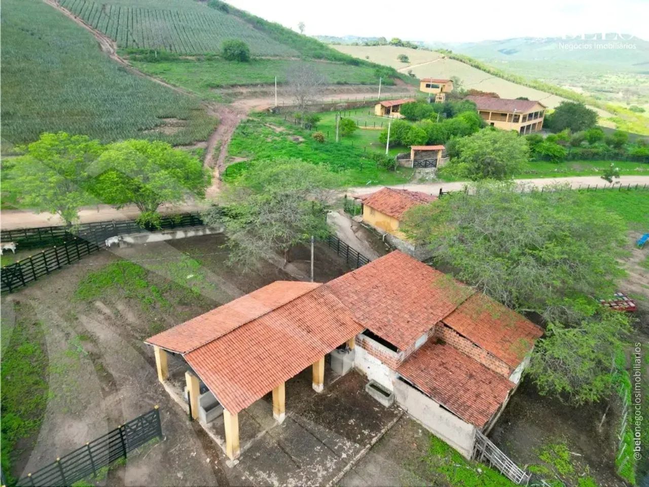Fazenda com 41 Hectares em Gravatá - Pernambuco - Foto 4