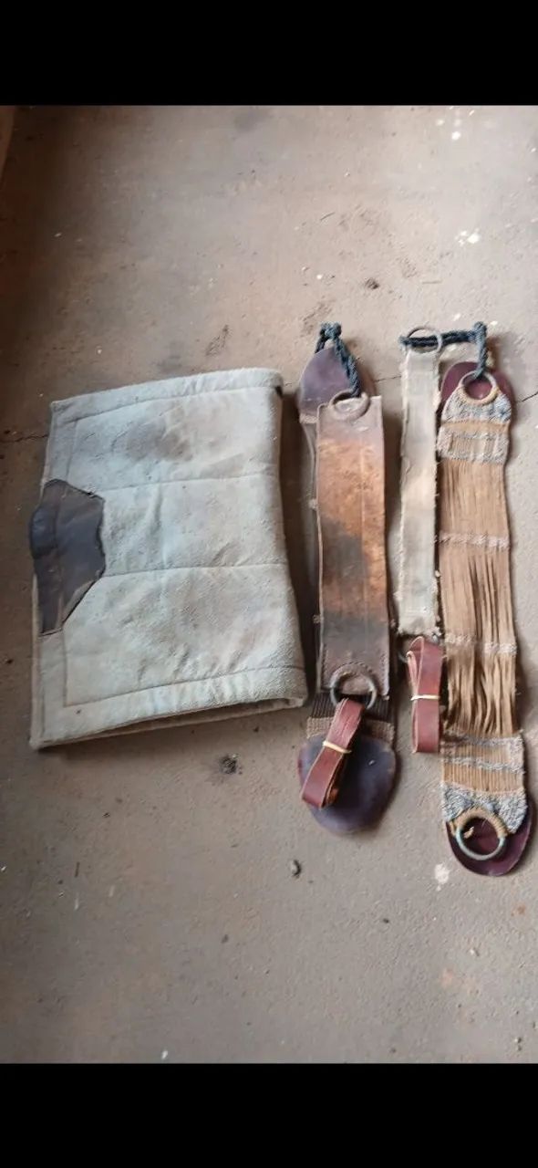 Arreio completo  - Foto 2