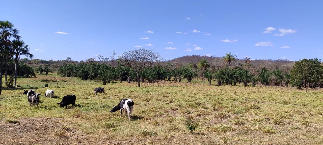 Chácara em Mairipotaba  - Foto 6