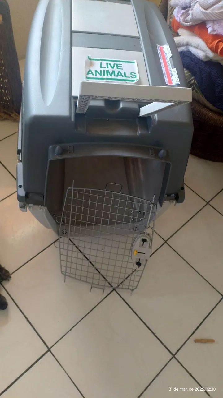 Caixa de Transporte para Cães - Foto 5