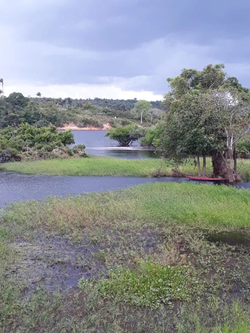 Foto - Manaus - Cidade Nova