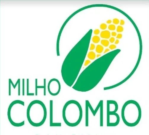 Milho (grão ou moído) - Foto 2