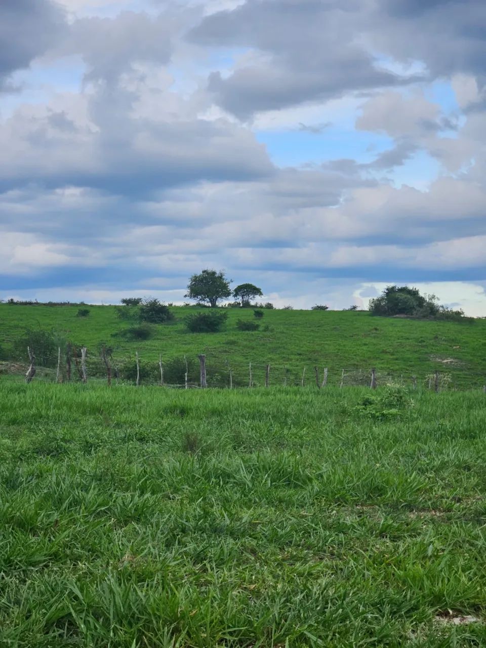 Fazenda 44ha com Cachoeira - Foto 4