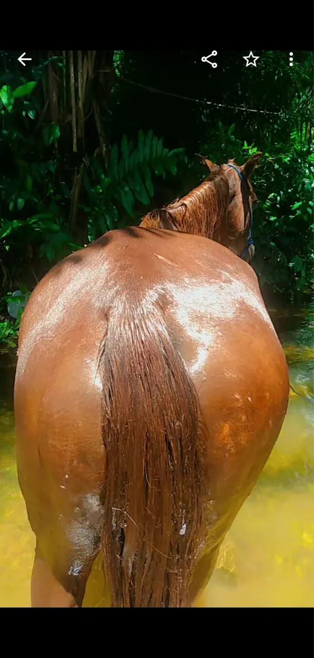 vendo ou troco  - Foto 4