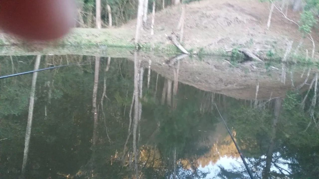 Foto - Agudos do Sul - 