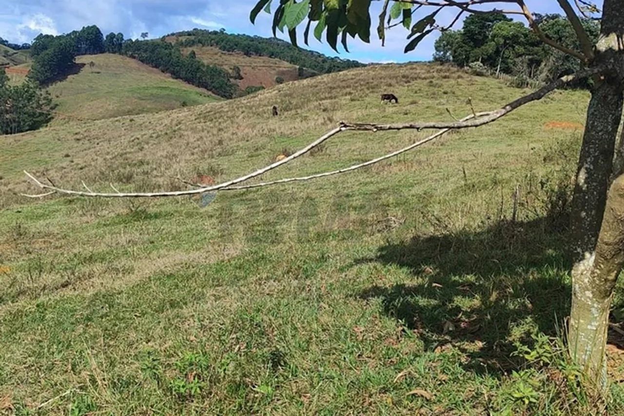Terreno à Venda: Sonho e Tranquilidade no RJ - Foto 4