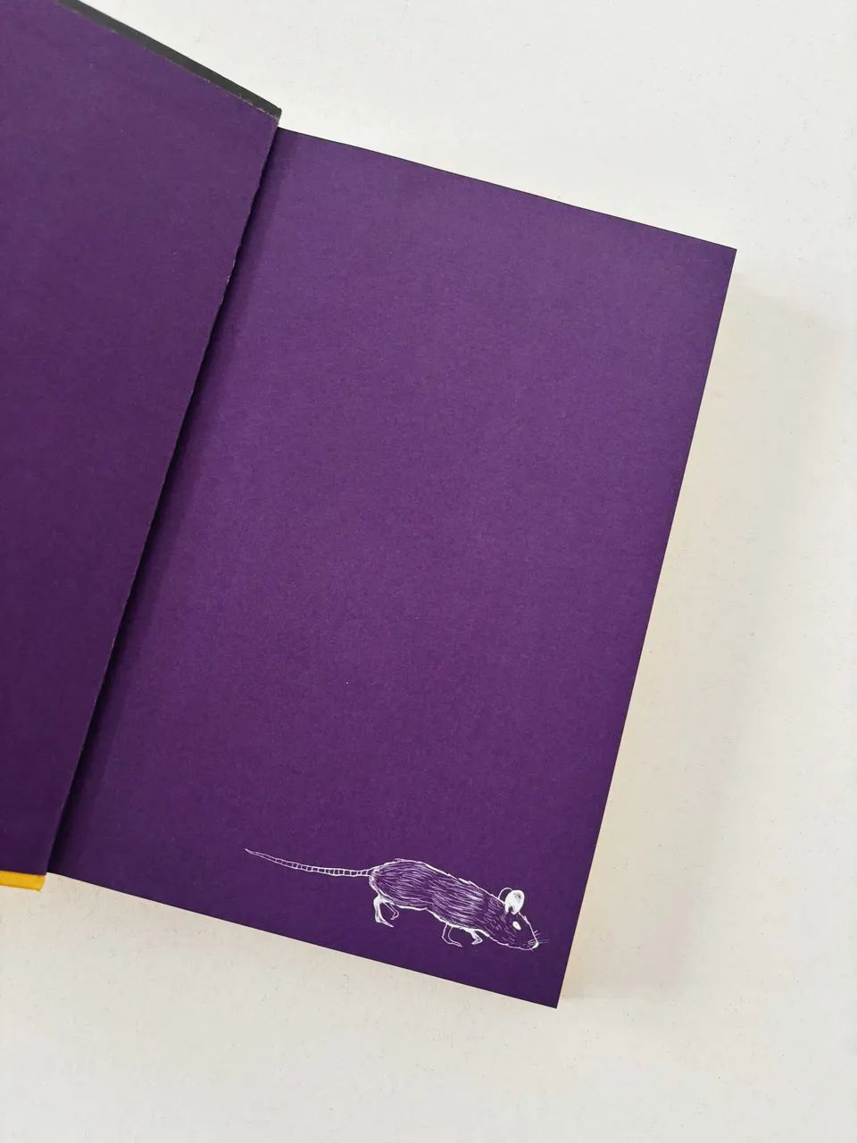 Livro Flores para Algernon Daniel Keyes Capa dura - Foto 2