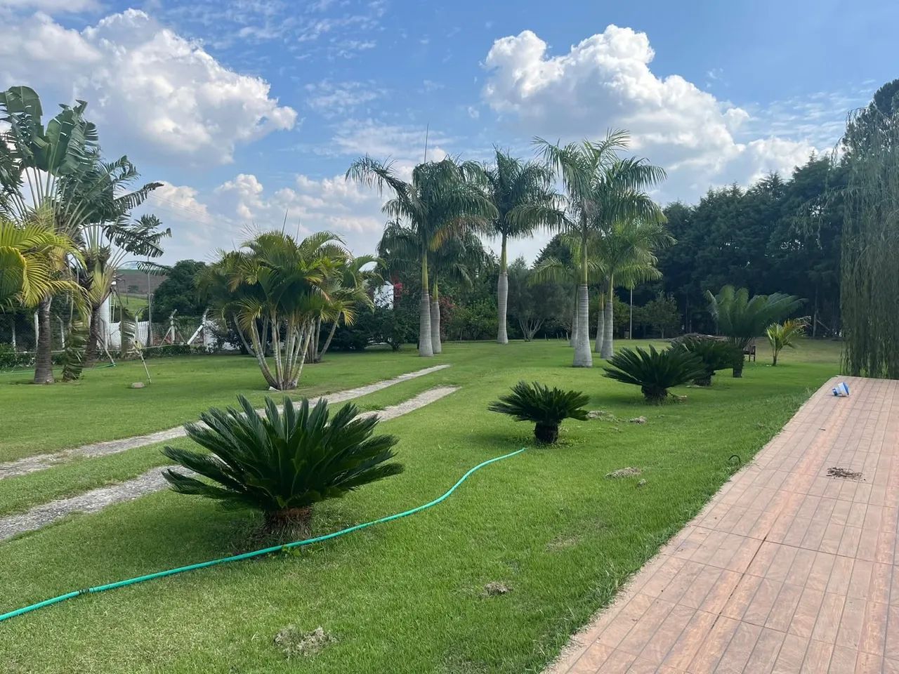 Sítio fazenda Amadeus (ASIFA)  - Foto 4