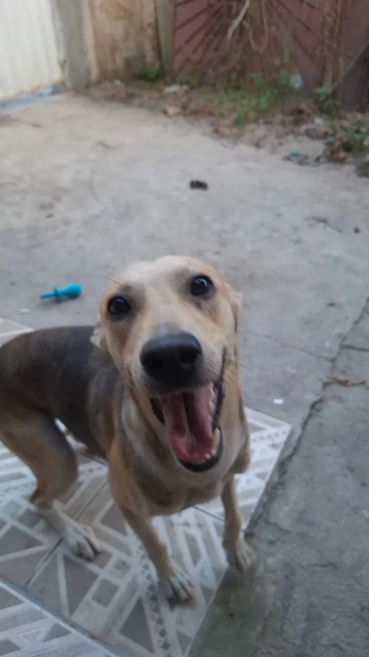 Doação  - Foto 2
