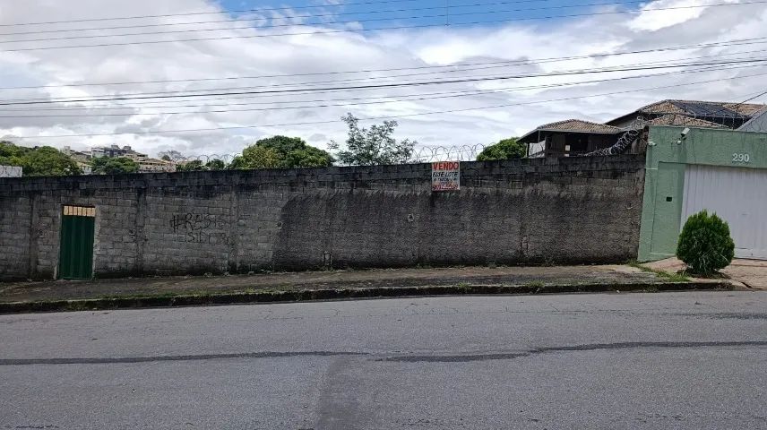 Foto - Belo Horizonte - Garças