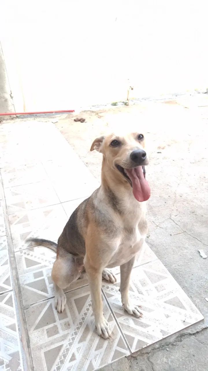 Doação  - Foto 3
