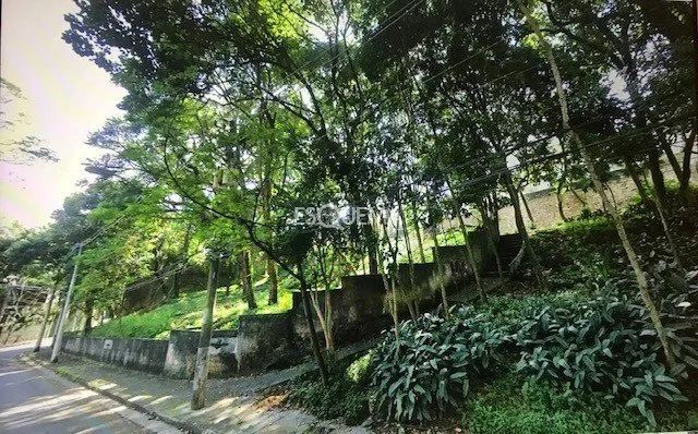Terreno de 1.283 m² no Cidade Jardim - Foto 4