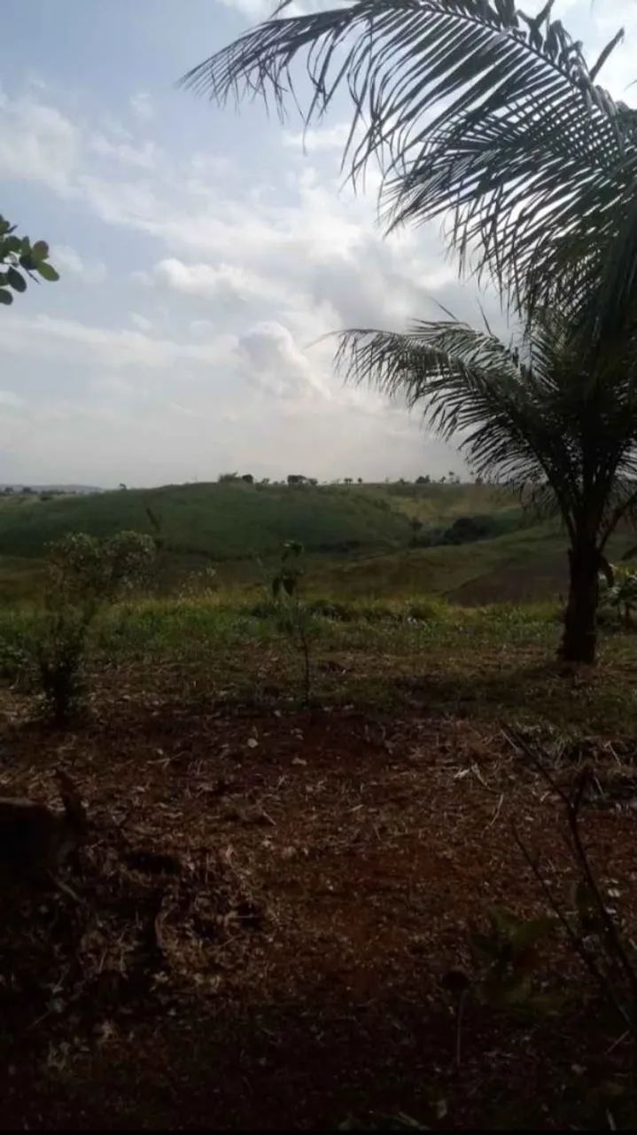 Sitio em aliança  - Foto 2