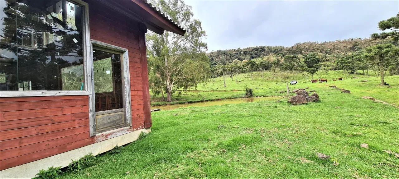 Belíssima área rural -Bom Retiro - 17 hectares com casa - Foto 4